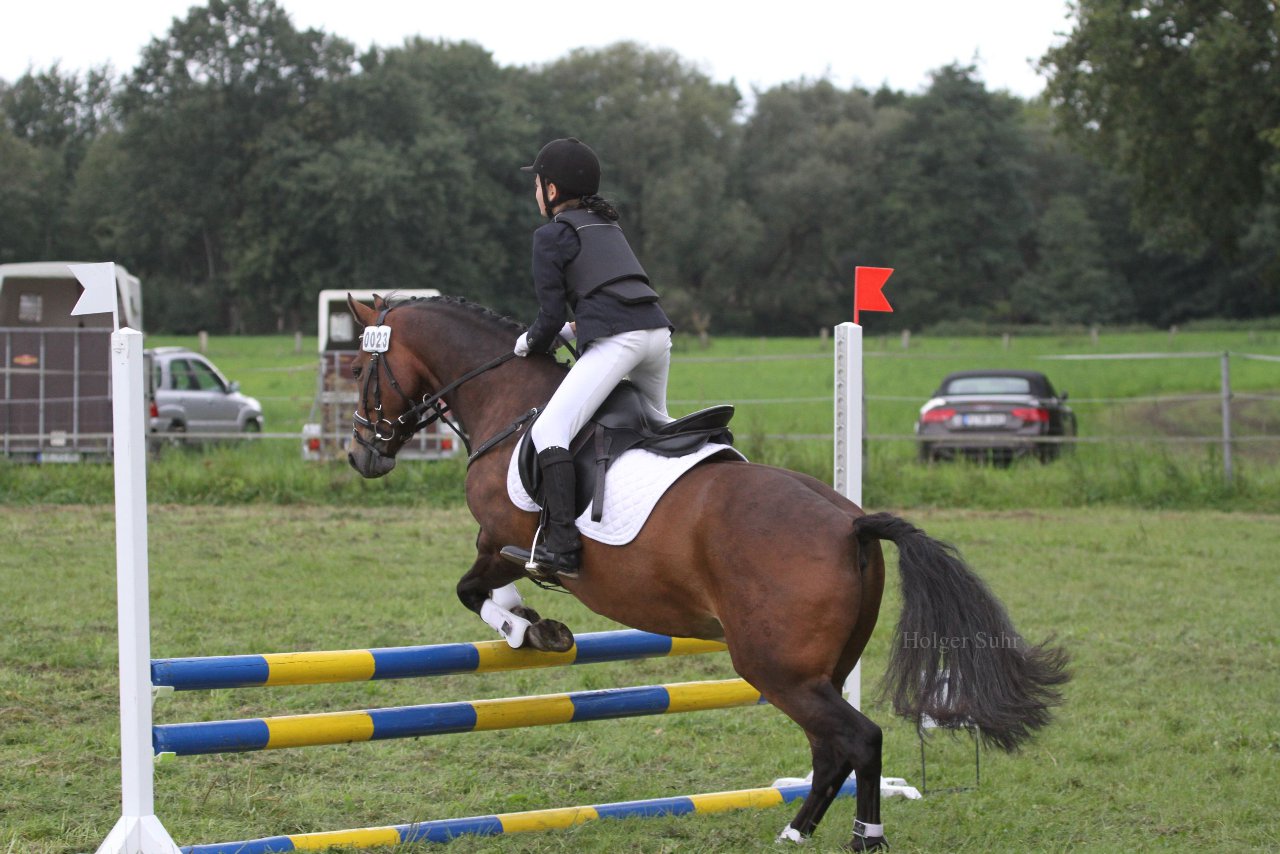 Bild 1367 - WBO-Turnier am 18.9.11
